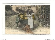 Laiti&egrave;re flamande