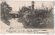 Campement Congolais-Chemin conduisant au village noir