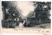 Aerschot. Schoonhovenmolen-Moulin de Schoonhoven
