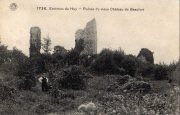 Environs de Huy. Ruines du vieux château de Beaufort.