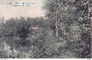 Linkebeek L'Etang de l'Ile Robinson