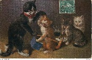 (chat mauvais élève)