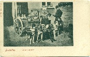 Bruxelles. Laitière flamande