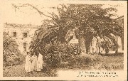 Missions des P&egrave;res Blancs Un coin du Noviciat Ste Marie &agrave; Maison-Carr&eacute;e