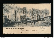 Champ de Courses de Forest, le champignon