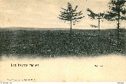 Les Hautes  Fagnes, Solitude