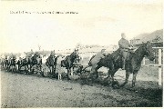 Equitation A terre et &agrave; cheval au galop
