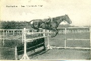 Equitation Saut d'obstacle en libert&eacute;
