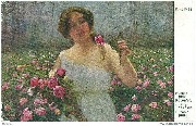 Champ de Roses Rosenfeld...