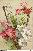 Lettre V