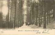 MARCHE. Sous-Bois au Monument.