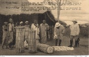 Congo Belge . Belgisch-Congo La récolte du coton Congo Belge . Belgisch-Congo La récolte du coton