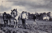 Ganshoren. Un cultivateur Ganshoren. Un cultivateur