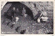 Folx-Les-Caves. Grandes champignonni&egrave;res Retour de la cueillette