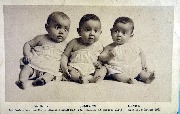 Andr&eacute;a Julienne Denise Les trois soeurs jumelles de Mme Sempels n&eacute;es le 1er janvier 1931 144 ch&eacute;e d'Ottergem &agrave; Gand
