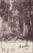 Souvenir de Tirlemont. La vieille Gèthe