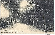 Environs d'Arlon. Route de Pallen