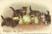Chats prenant le th&eacute;