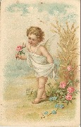 Angelot se promenant rose &agrave; la main