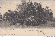 Mondorf Les-Bains. La lionne dans le parc.