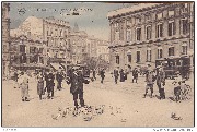 Liège.Les pigeons de la Place St Lambert 