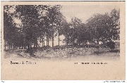 Souvenir de Tirlemont Les boulevards et le Slecksteen