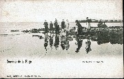 Souvenir de la Plage - Pêcheurs de Moules
