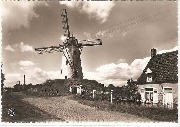 Damme. De Molen Le Moulin(autre vue)
