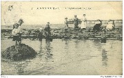 Blankenberghe. Les plaisirs de la plage