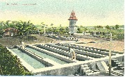 S.Paulo. Lavage du caf&eacute;