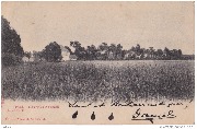 YPRES, -L' Etang de Dickebusch. I