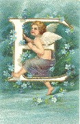 Lettre E angelot et myosotis