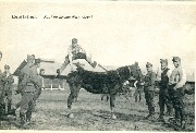 Equitation Saut au-dessus d'un cheval(1)
