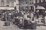 Bruges. Le Petit Marché aux Poissons