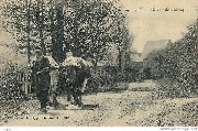 Environs de Spa. Retour du P&acirc;turage