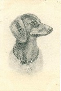 Profil de chien avec m&eacute;daille
